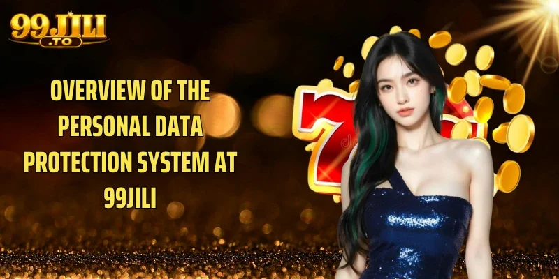 Overview Of The Personal Data Protection System At 99JILI